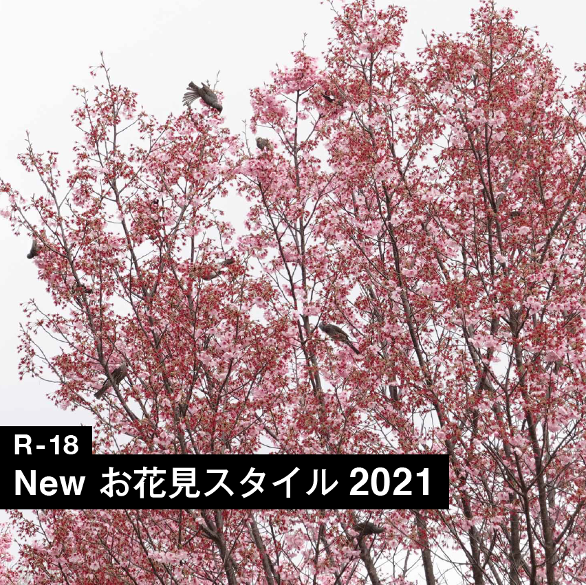 R 18 広大な敷地が広がる小金井公園で 新しいお花見スタイルを考える21 B Pop